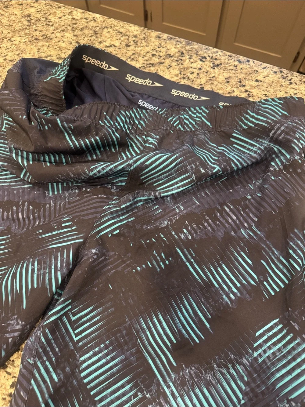 Speedo Black Swim Trunks with Teal Stripe Pattern